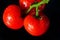 photo tomatoes with drops of water on a black background