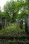 Photo of tombstones in the historic Jewish cemetery at Brady Street, Whitechapel, East London UK.