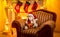 Photo of toy lamb sitting on chair at fireplace at Christma