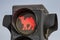 Photo of a traffic light with a camel symbol