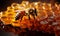 photo of Translucent Glistening Honeycomb with honeybee
