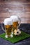 Photo of two beer mugs, green grass with soccer ball