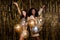 Photo of two festive ladies hold air balloons look camera raise hands wear glossy short dresses  tinsel