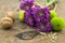 Photo of two walnuts, green and purple chrysanthemums on wood ta