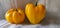 Photo of two yellow capsicum chillies.