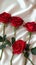 Photo Valentines charm red roses on white satin cloth background