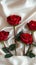 Photo Valentines charm red roses on white satin cloth background