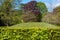 Photo of a variety of trees and shrubs in nature with blue sky in the background. Shows photography rule: rule of thirds.