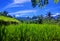 photo of views of mountains and green rice fields with clear blue skies