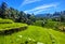 photo of views of mountains and green rice fields with clear blue skies