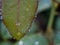 Photo Views in Rain Drops