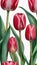 Photo Of Watercolor Image Of A Set Of Tulip Flowers On A White Background. Generative AI