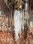 Photo with white ice icicles on the red clay walls