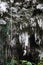 A photo of the white rock cliffs in the cave that form neatly lined stalactites. In addition, there are also high white cliffs. Su