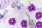 Photo wild flowers on purple paper background. Generative AI