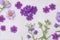 Photo wild flowers on purple paper background. Generative AI