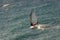 Photo of Windsurfer riding waves