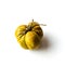 Photo with withered and wrinkled tomatoes on a light background