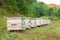 Photo of wooden colored beehives in the nature. Beekeeping