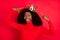 Photo of young african woman happy positive smile indicate fingers golden crown queen proud  over red color