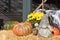 Photo zone near a cafe, shop, house for Halloween. Pumpkins, hay, flowers, lantern