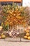 Photo zone outdoor for Halloween. Pumpkins, straw and apples. Vertical Orientation