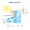 Photocatalysis - titanium oxide catalyst under UV radiation activate organic pollutant decomposition.