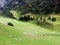 Photogenic pastures and hills of the Alpstein mountain range