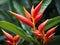 The photograph captures the Heliconia in its natural habitat, surrounded by a verdant tapestry of tropical foliage.