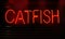 Photograph Composite Neon Seafood Restaurant Signs Catfish