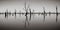 Photograph of dead tree trunks sticking out of the water, Australia