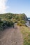 Photograph of a dog by the horse trail on the coast of Menorca.