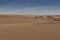 Photograph of dunes with vegetation of the Namibe Desert. Africa. Angola