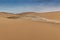 Photograph of dunes with vegetation of the Namibe Desert. Africa. Angola