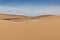 Photograph of dunes with vegetation of the Namibe Desert. Africa. Angola