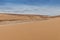 Photograph of dunes with vegetation of the Namibe Desert. Africa. Angola