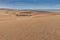 Photograph of dunes with vegetation of the Namibe Desert. Africa. Angola