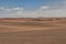 Photograph of dunes with vegetation of the Namibe Desert. Africa. Angola