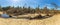 Photograph of fallen trees in Yarramundi Reserve in regional Australia