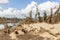 Photograph of flood damaged trees along the Nepean River in Australia