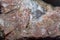 Photograph of a granite surface interspersed with transparent mica in soft focus at high magnification.