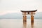 Photograph of the great torii of Miyajima surrounded by water