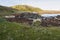 Photograph of Kelp washed up on a rocky shoreline on King Island