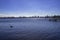 Photograph of the kralingse Plas ducks swiming views of nature and city