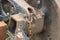 Photograph of an old and rusty chain on a train bogie wheel