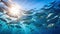 Photograph of a school of sardines seen from below swimming in semicircle