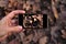 Photograph or selfie of brown leaves in an autumn forest