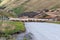 Photograph of sheep being herded along a road to a new pasture near Lake Moke in New Zealand