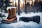 A Photograph showcasing the contrasting tones of winter boots next to freshly fallen snow, capturing the essence of warmth and