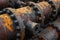 This photograph shows a detailed, close-up view of a bunch of rusty pipes, showcasing their aged and weathered appearance,
